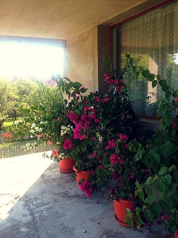 ホテル Casa Renti Novaci-Străini エクステリア 写真