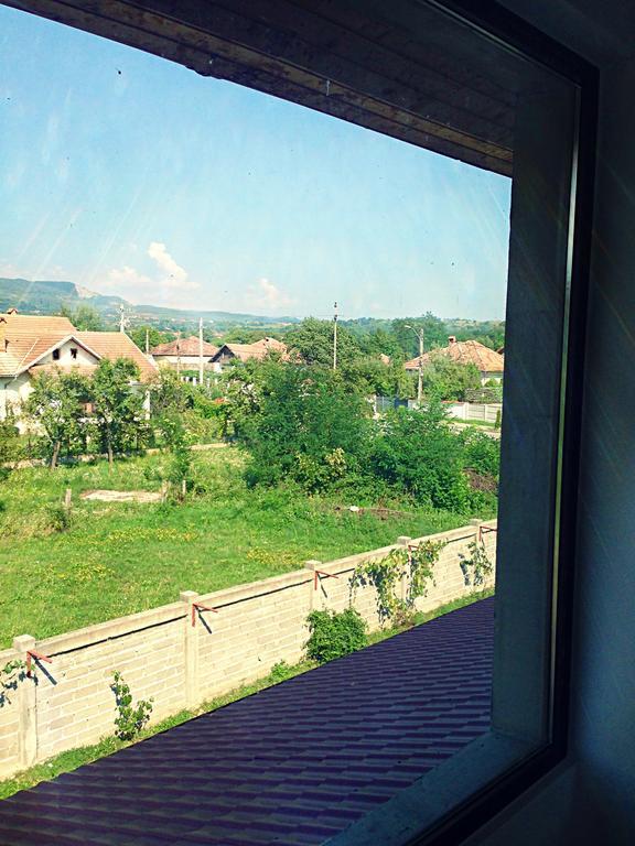 ホテル Casa Renti Novaci-Străini エクステリア 写真