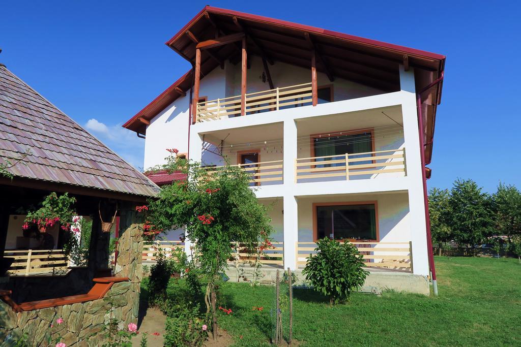 ホテル Casa Renti Novaci-Străini エクステリア 写真