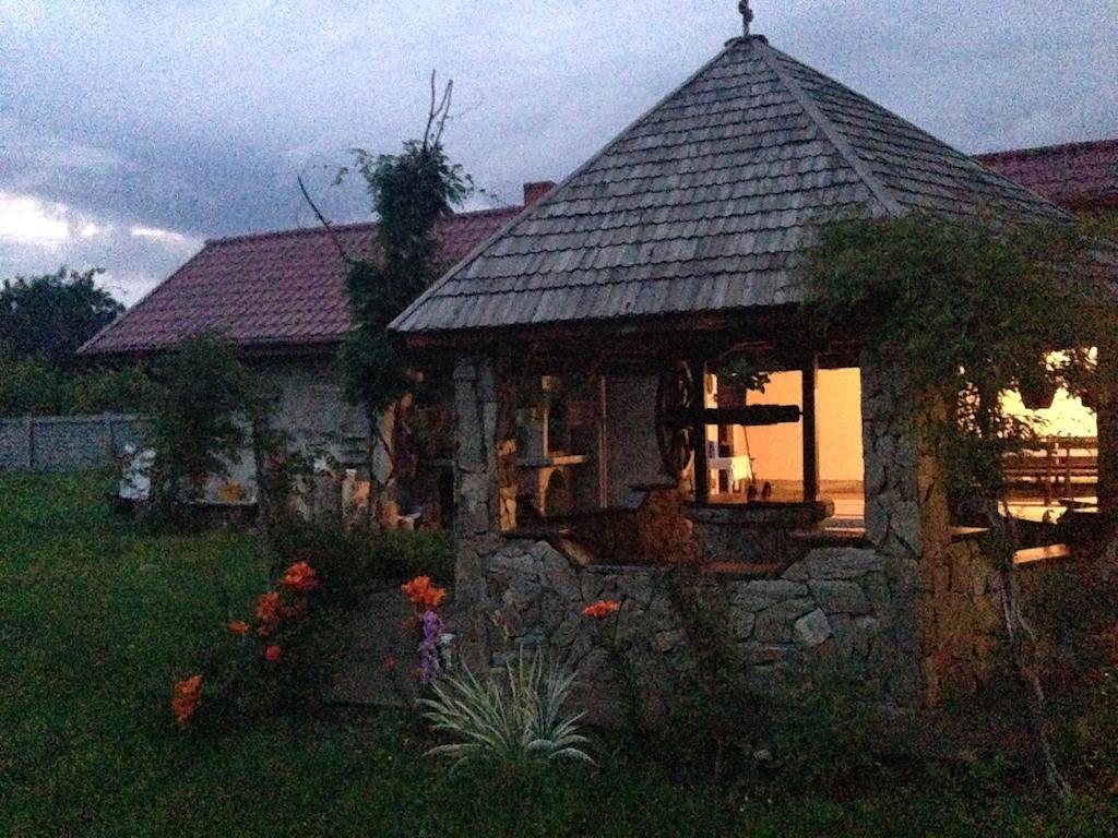 ホテル Casa Renti Novaci-Străini エクステリア 写真